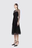 Black Dress with Tulle & Mesh Dot Overlay